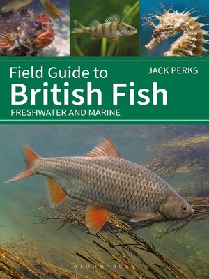 cover image of Field Guide to British Fish